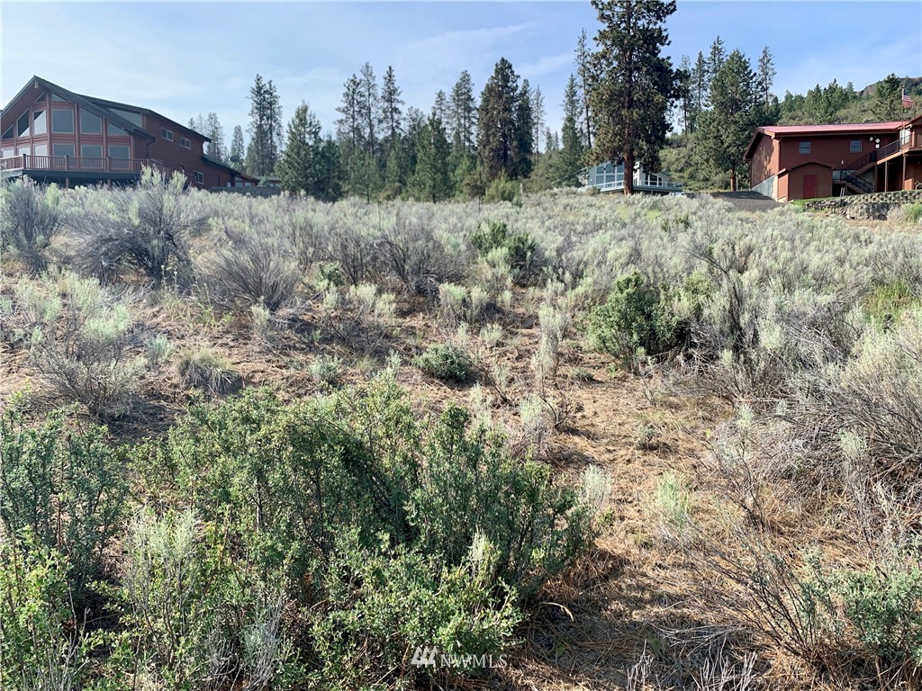 16480 Jones Road East Wilbur, WA 99185 - Photo 9 of 15 Gallery Image 9