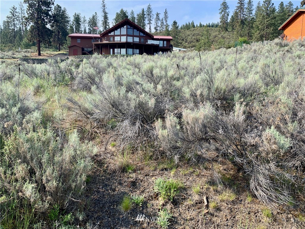 16480 Jones Road East Wilbur, WA 99185 - Photo 10 of 15 Gallery Image 10