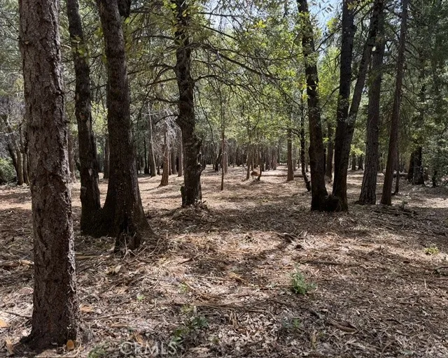 a view of outdoor space with trees