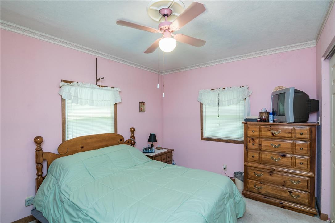 11878 New Douglas Road New Douglas, IL 62074 - Photo 18 of 19