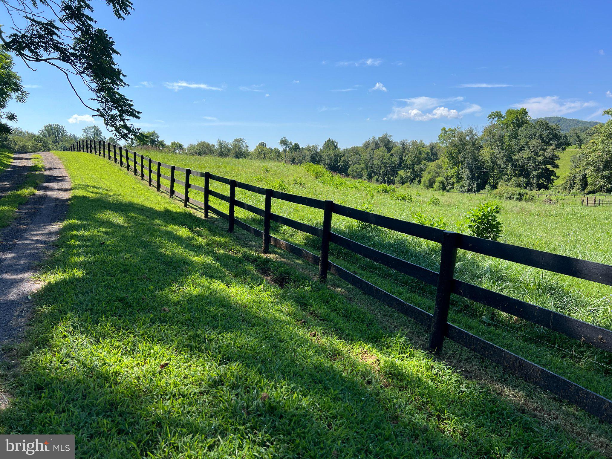 439 Rudasill Road Woodville, VA 22749 - Photo 50 of 55 Pasture on the additional 25 acre parcel.