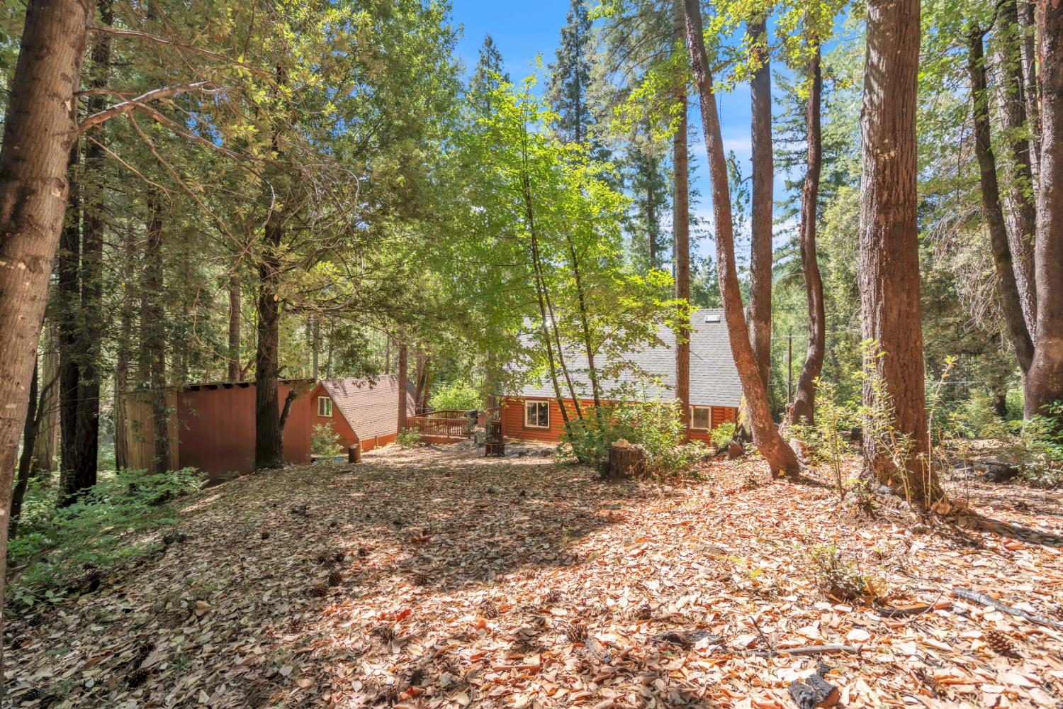 17017 Oregon Hill Road Challenge, CA 95925 - Photo 31 of 50