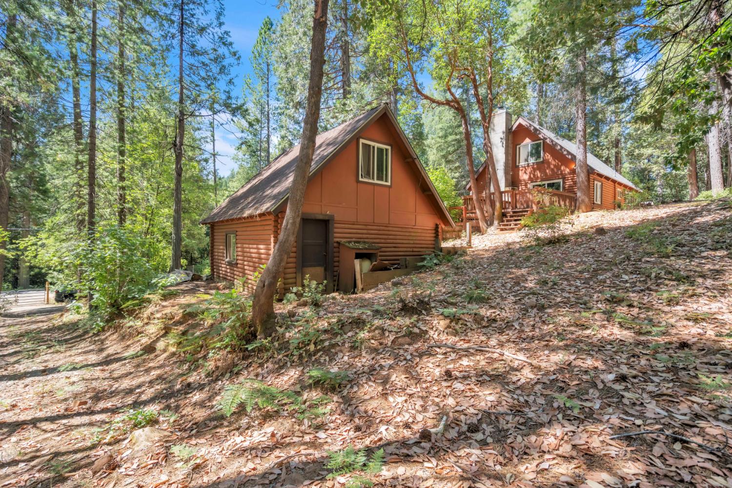 17017 Oregon Hill Road Challenge, CA 95925 - Photo 32 of 50