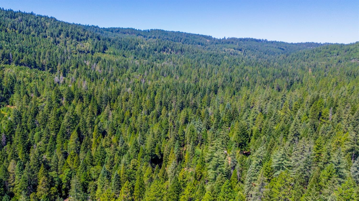 17017 Oregon Hill Road Challenge, CA 95925 - Photo 45 of 50