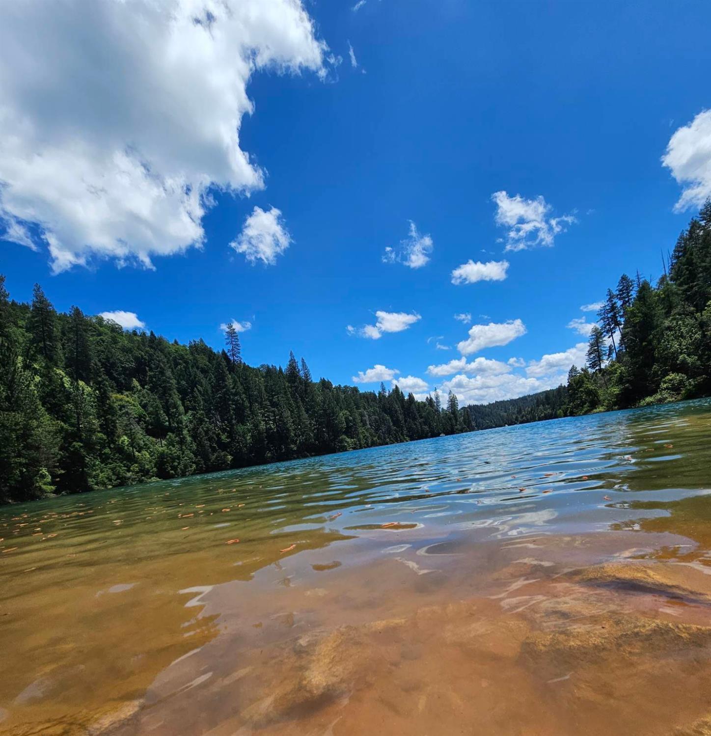 17017 Oregon Hill Road Challenge, CA 95925 - Photo 49 of 50