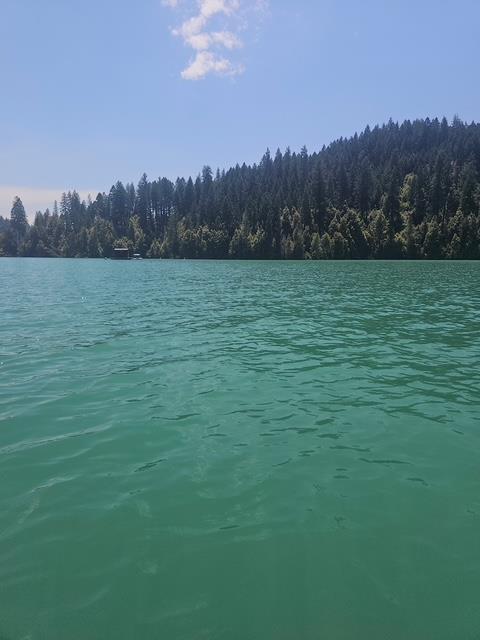 17017 Oregon Hill Road Challenge, CA 95925 - Photo 50 of 50