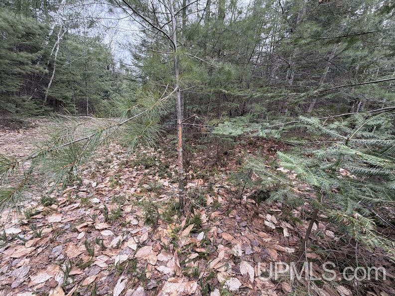 Tbd K Road Bark River, MI 49807 - Photo 5 of 8