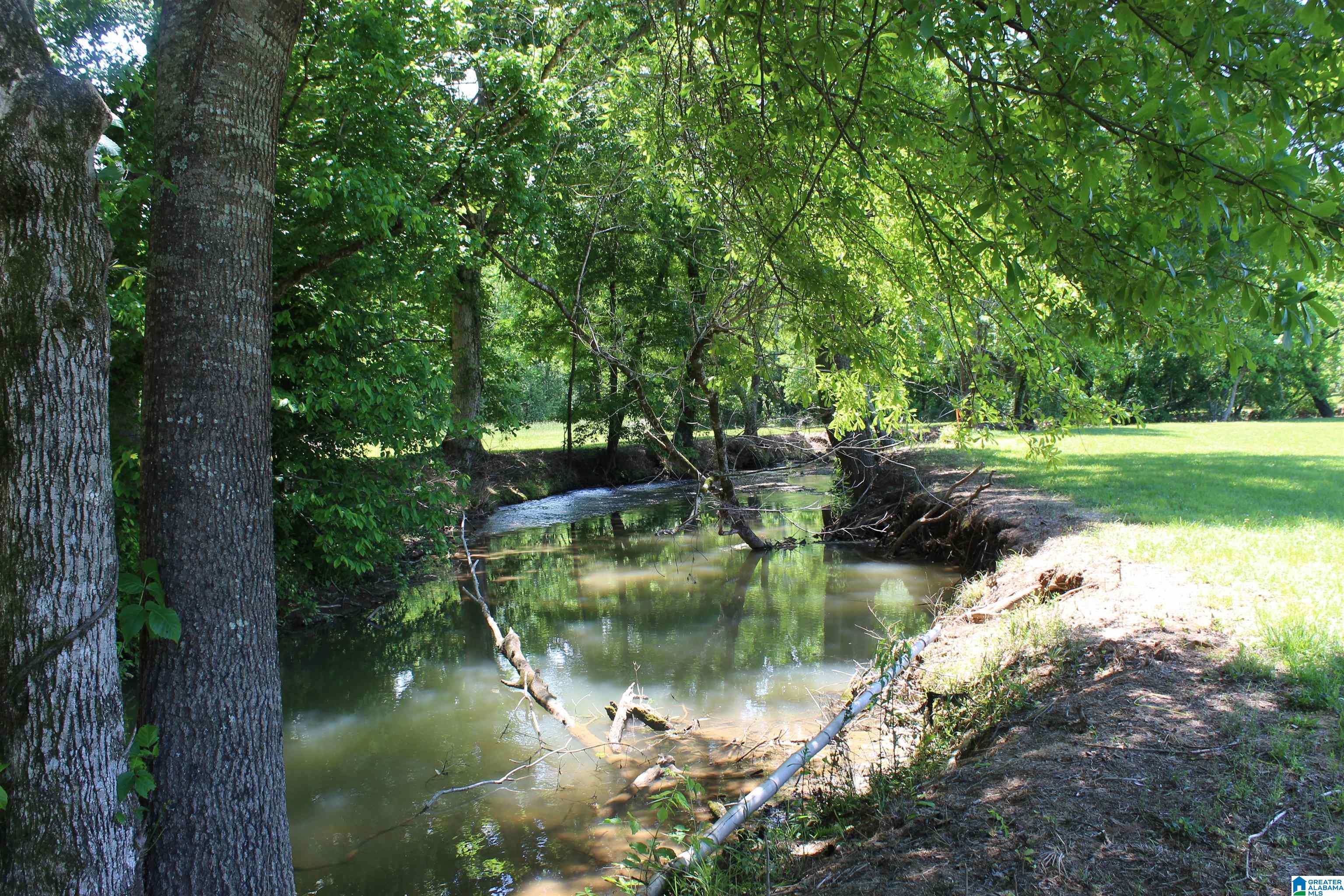 1680 Highway 174 Springville, AL 35146 - Photo 9 of 97