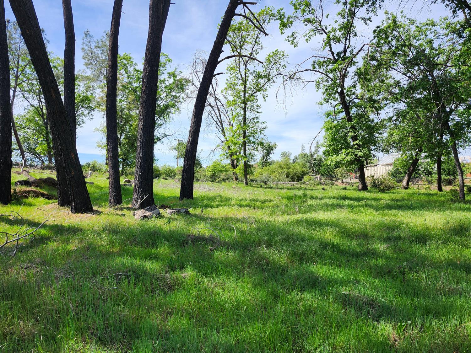 10006 Wendell Road Mountain Ranch, CA 95246 - Photo 9 of 24 Gallery Image 9