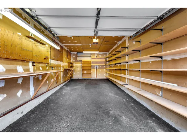 a view of a backyard with plants