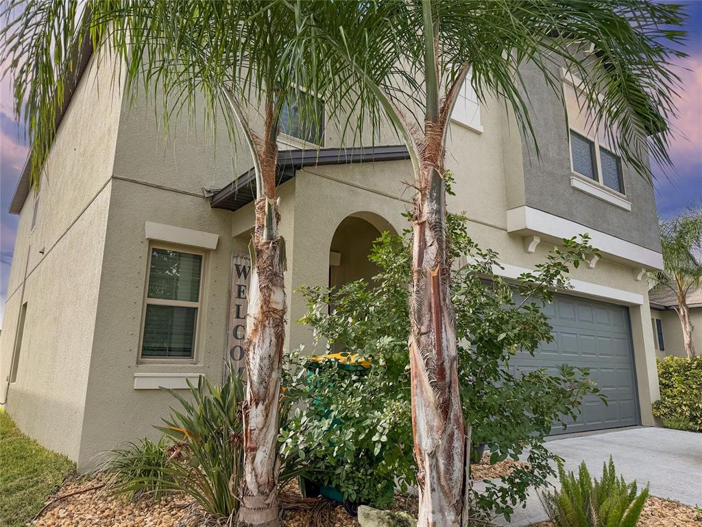 3816 Hanover Drive New Port Richey, FL 34653 - Photo 52 of 64 front view of a house with a garden