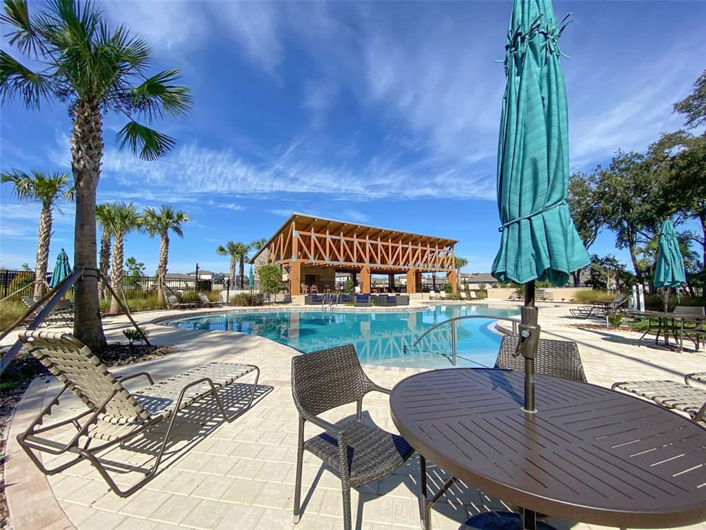 3816 Hanover Drive New Port Richey, FL 34653 - Photo 62 of 64