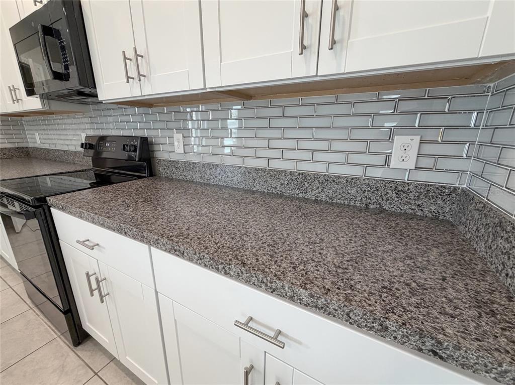 3816 Hanover Drive New Port Richey, FL 34653 - Photo 7 of 64