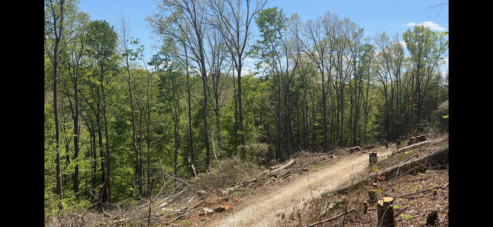 Lot 67 Victory Falls Road Campton, KY 41301 - Photo 1 of 2 -6654535898552965334