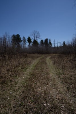 Xxx East Beauregard Lake Road Gordon, WI 54838 - Photo 27 of 35