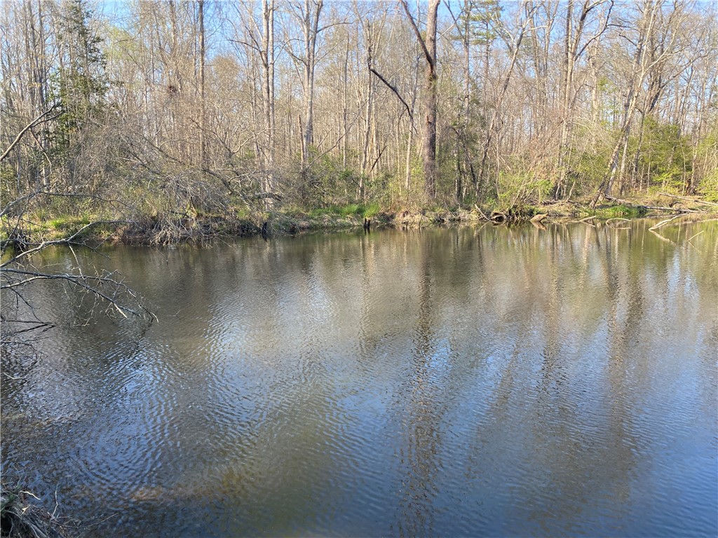 0 Abercrombie Road Honea Path, SC 29654 - Photo 9 of 18 This tranquil waterfront setting offers serene views and a natural landscape.