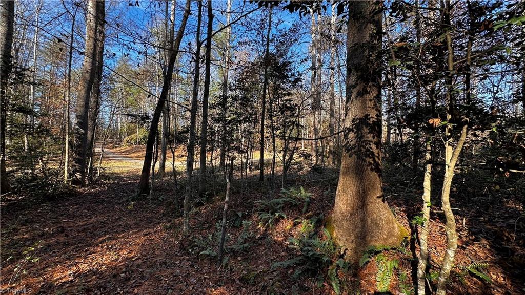 Tbd Bud West Road Boomer, NC 28606 - Photo 11 of 25 Gallery Image 11