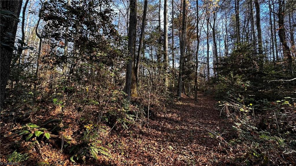 Tbd Bud West Road Boomer, NC 28606 - Photo 12 of 25 Gallery Image 12