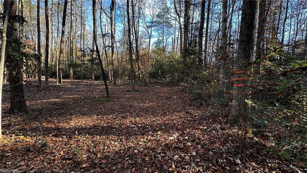Tbd Bud West Road Boomer, NC 28606 - Photo 13 of 25 Gallery Image 13