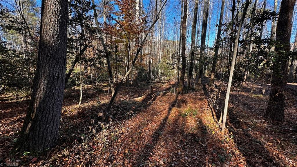 Tbd Bud West Road Boomer, NC 28606 - Photo 15 of 25 Gallery Image 15