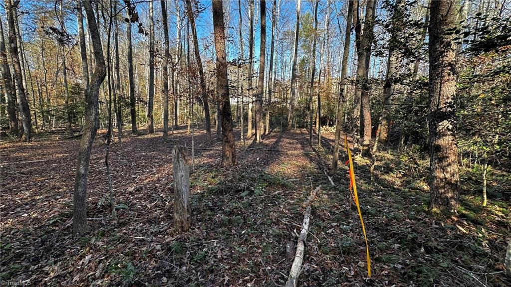 Tbd Bud West Road Boomer, NC 28606 - Photo 16 of 25 Gallery Image 16