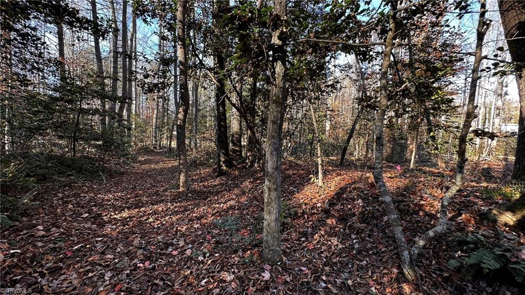 Tbd Bud West Road Boomer, NC 28606 - Photo 17 of 25 Gallery Image 17