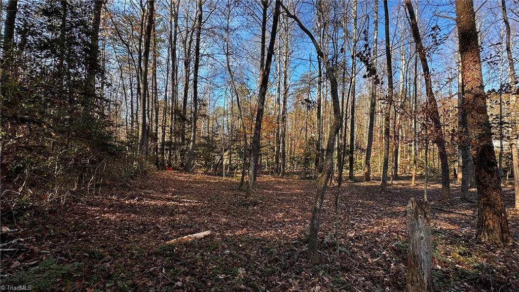 Tbd Bud West Road Boomer, NC 28606 - Photo 18 of 25 Gallery Image 18