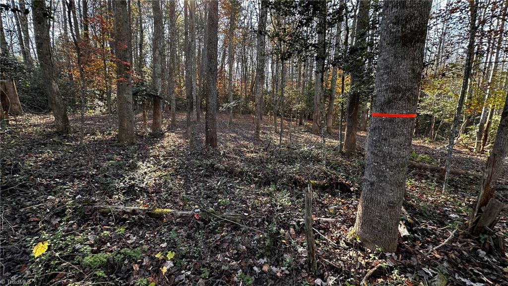Tbd Bud West Road Boomer, NC 28606 - Photo 20 of 25 Gallery Image 20