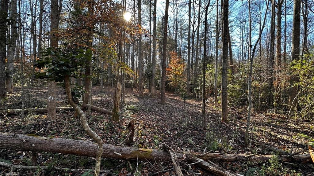 Tbd Bud West Road Boomer, NC 28606 - Photo 21 of 25 Gallery Image 21