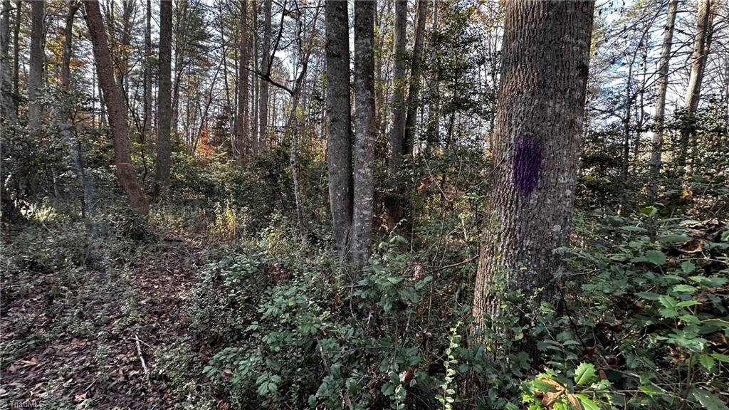 Tbd Bud West Road Boomer, NC 28606 - Photo 23 of 25 Gallery Image 23