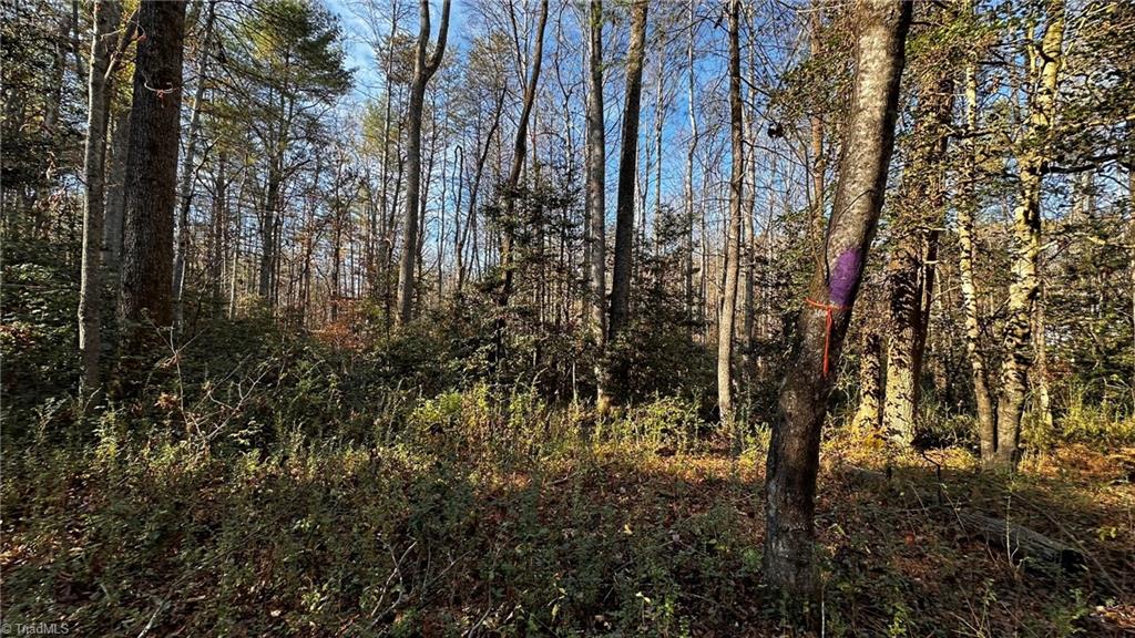 Tbd Bud West Road Boomer, NC 28606 - Photo 25 of 25 Gallery Image 25