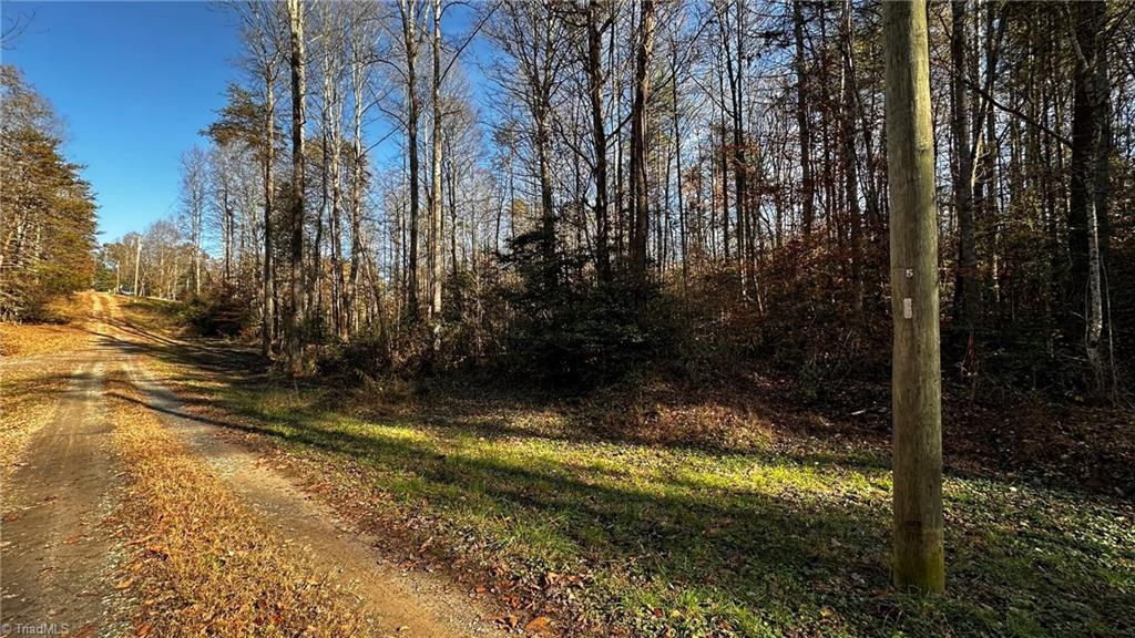 Tbd Bud West Road Boomer, NC 28606 - Photo 4 of 25 Gallery Image 4