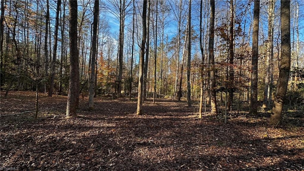 Tbd Bud West Road Boomer, NC 28606 - Photo 5 of 25 Gallery Image 5