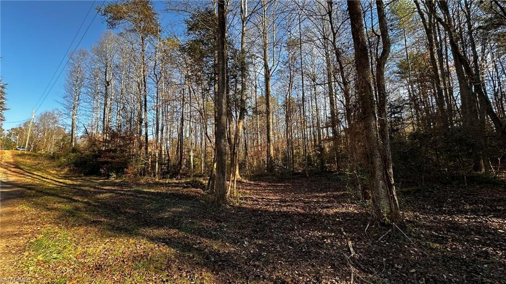 Tbd Bud West Road Boomer, NC 28606 - Photo 6 of 25 Gallery Image 6