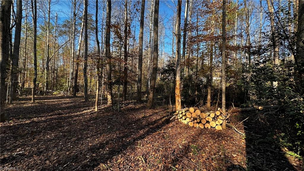 Tbd Bud West Road Boomer, NC 28606 - Photo 9 of 25 Gallery Image 9