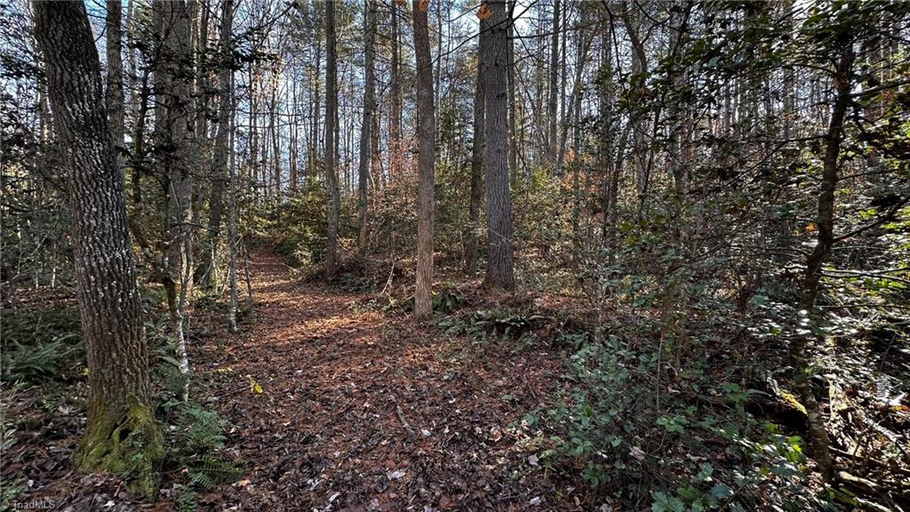 Tbd Bud West Road Boomer, NC 28606 - Photo 10 of 25 Gallery Image 10