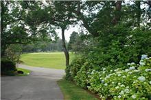 120 North Bay Road Osterville, MA 02655 - Photo 21 of 21 a view of a park with large trees