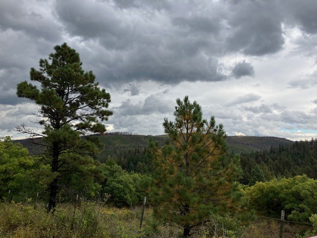 1 La Sierra Road Holman, NM 87723 - Photo 17 of 18