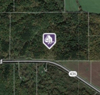 3121 Nunda-Dansville Road Nunda, NY 14836 - Photo 3 of 5