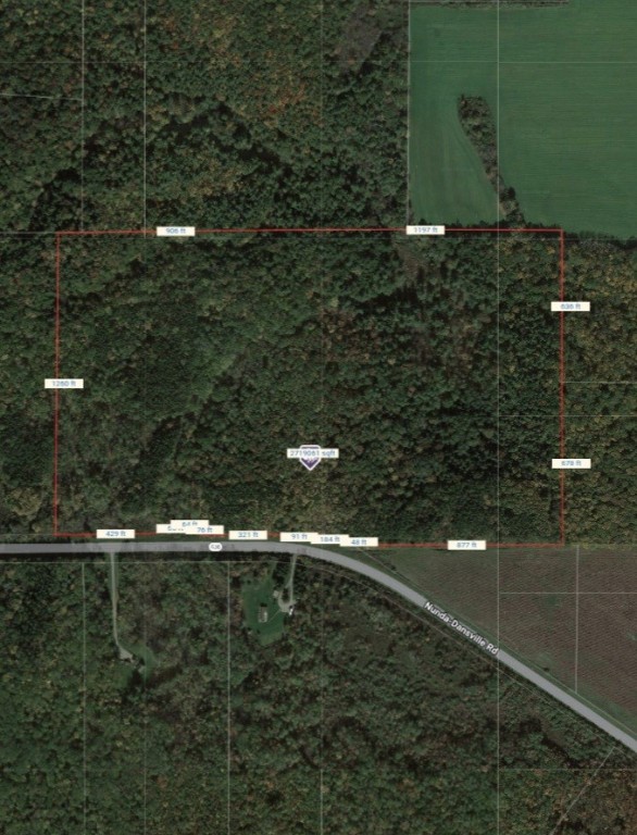 3121 Nunda-Dansville Road Nunda, NY 14836 - Photo 4 of 5