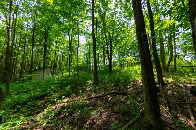 $150,000 | 3121 Nunda-Dansville Road, Nunda, NY 14836