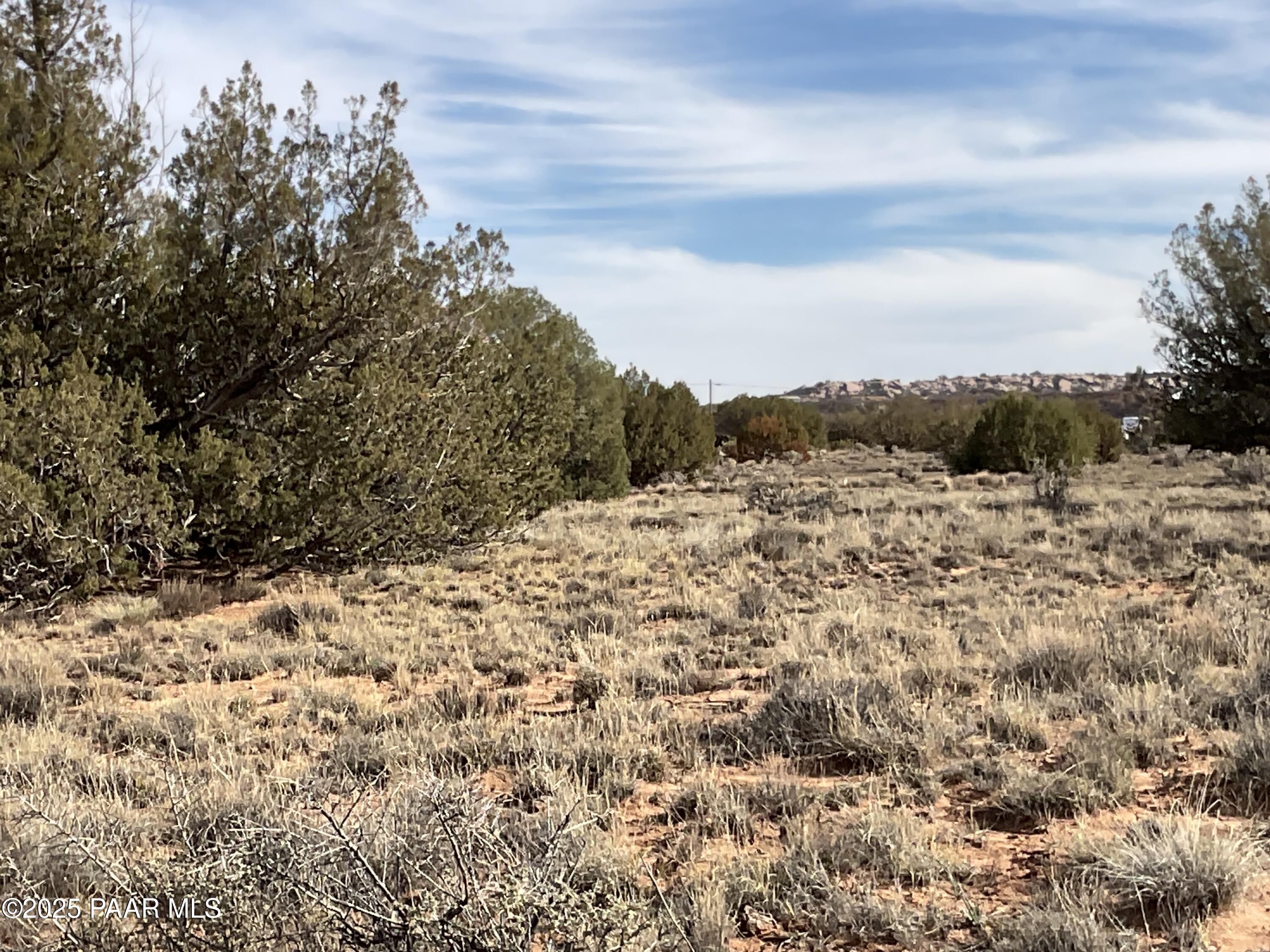 3868 Clyde Road Snowflake, AZ 85937 - Photo 11 of 14 a view of a dry yard with trees