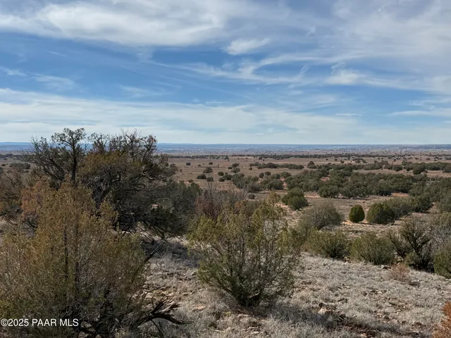 a view of a bunch of trees in a field