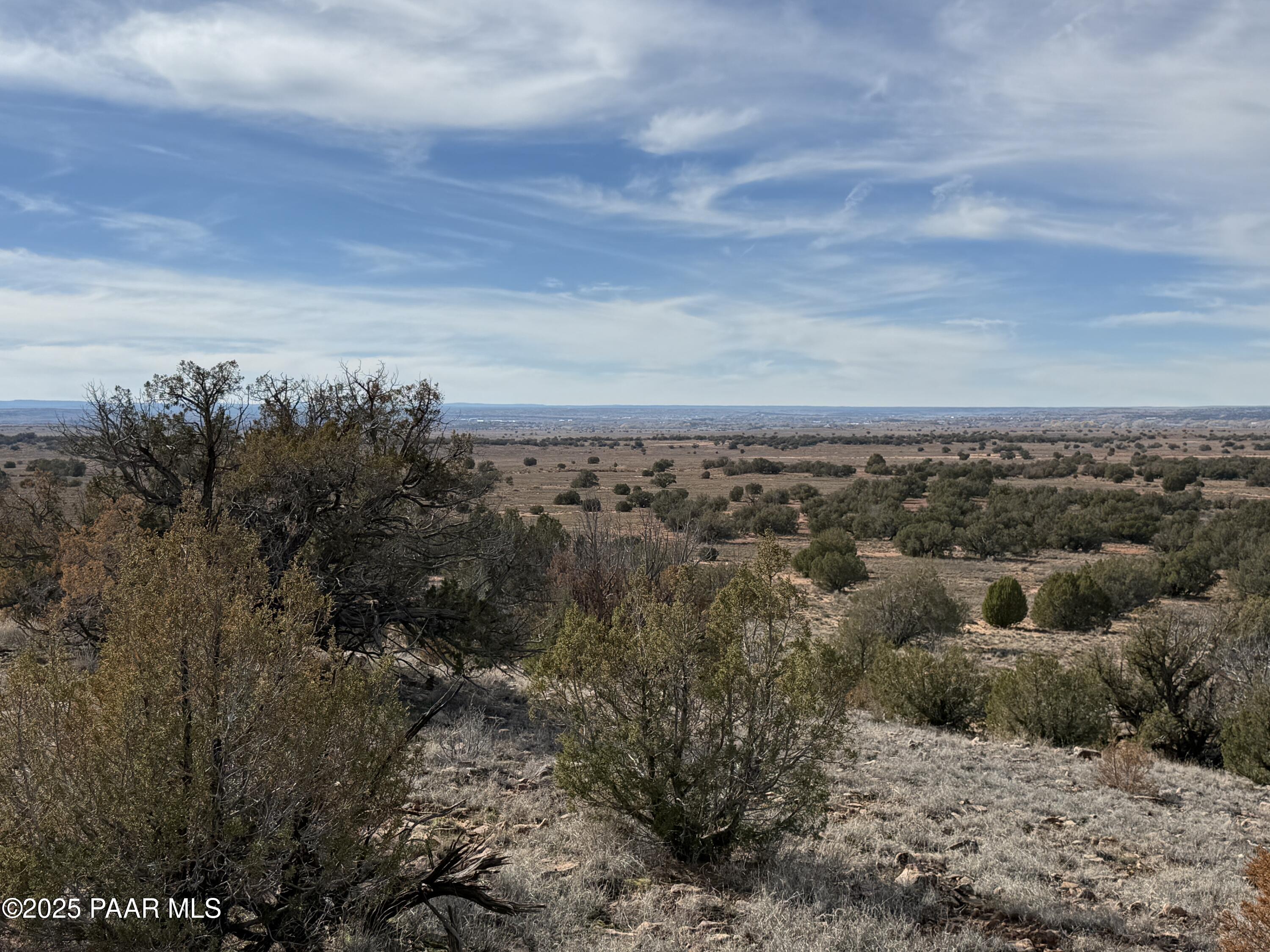 3868 Clyde Road Snowflake, AZ 85937 - Photo 3 of 14 a view of a bunch of trees in a field