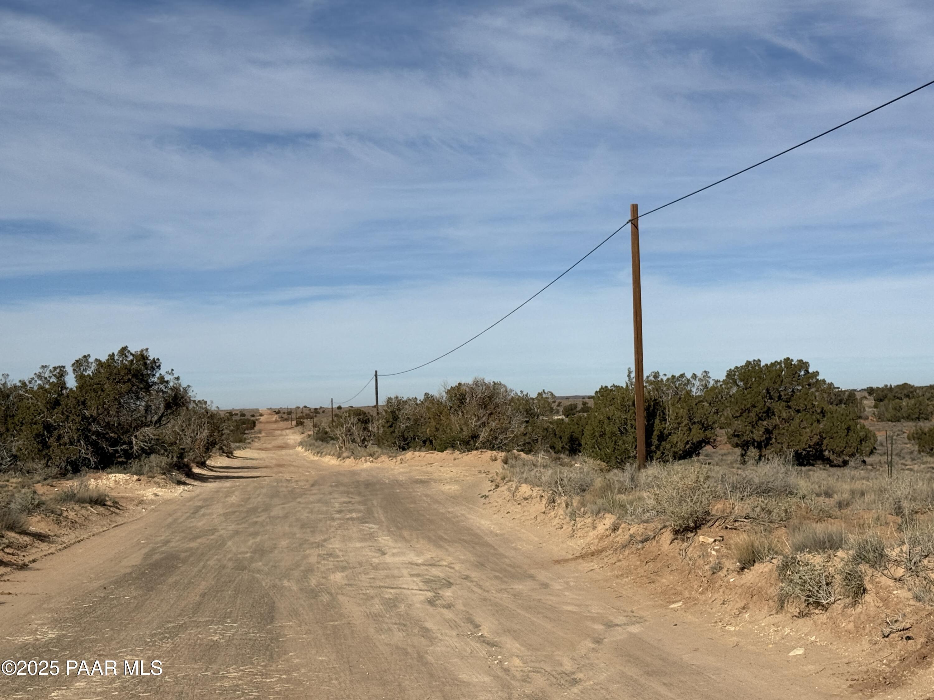 3868 Clyde Road Snowflake, AZ 85937 - Photo 4 of 14 a view of a yard with a snow on the road