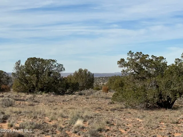 a view of a dry field with trees in the background
