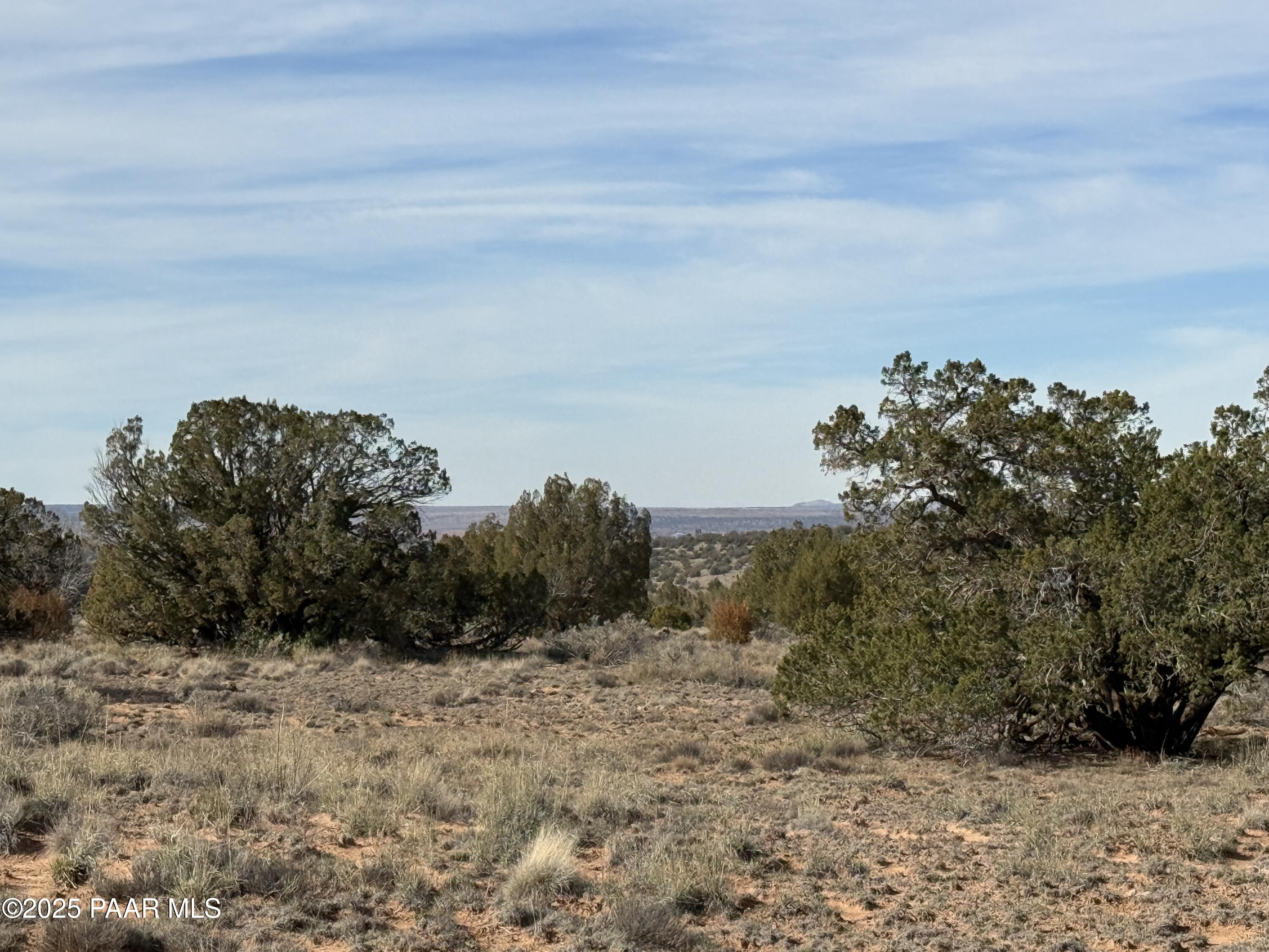3868 Clyde Road Snowflake, AZ 85937 - Photo 9 of 14 a view of a dry yard with trees