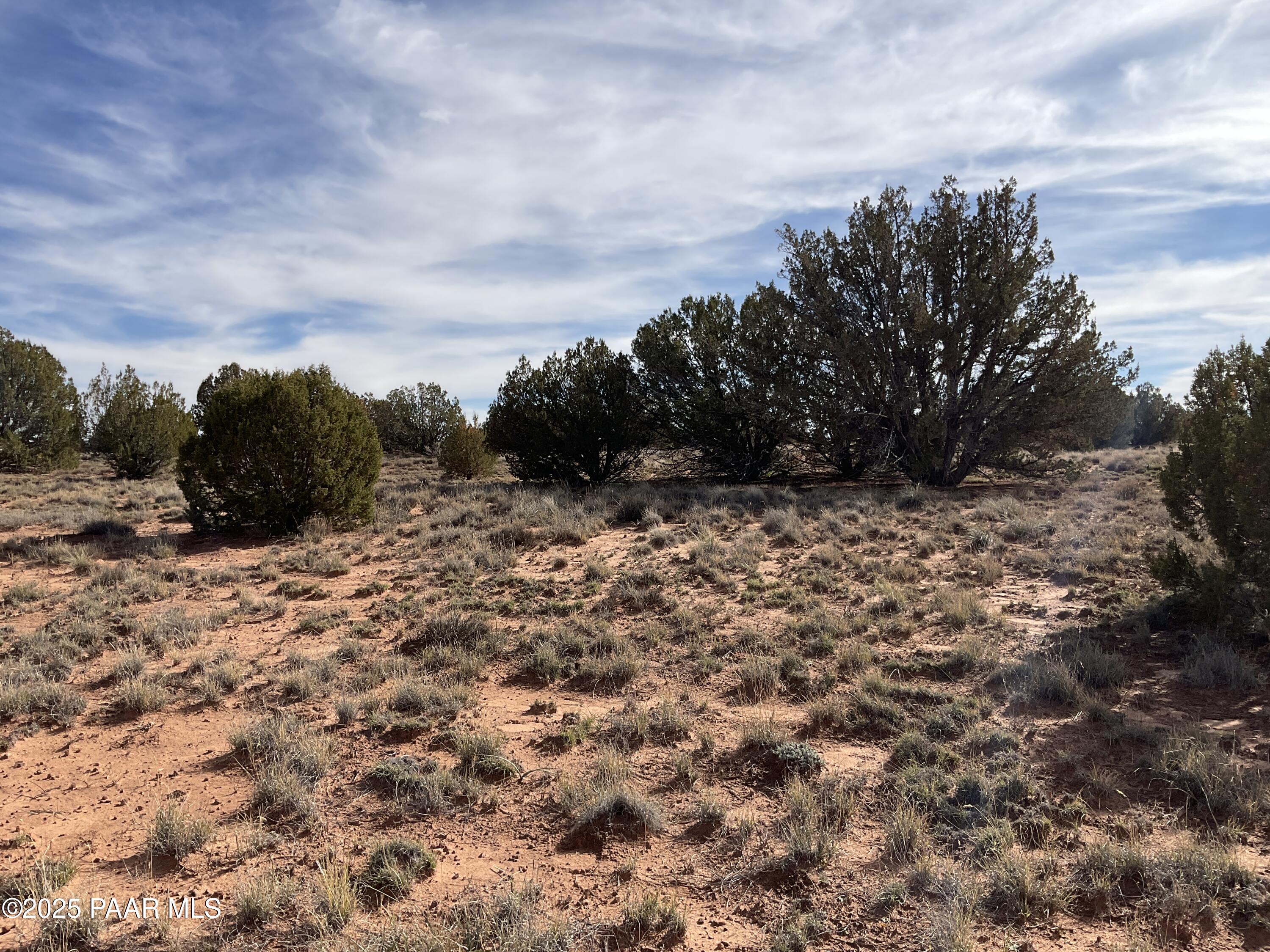 3868 Clyde Road Snowflake, AZ 85937 - Photo 10 of 14 a view of a dry field with trees in the background