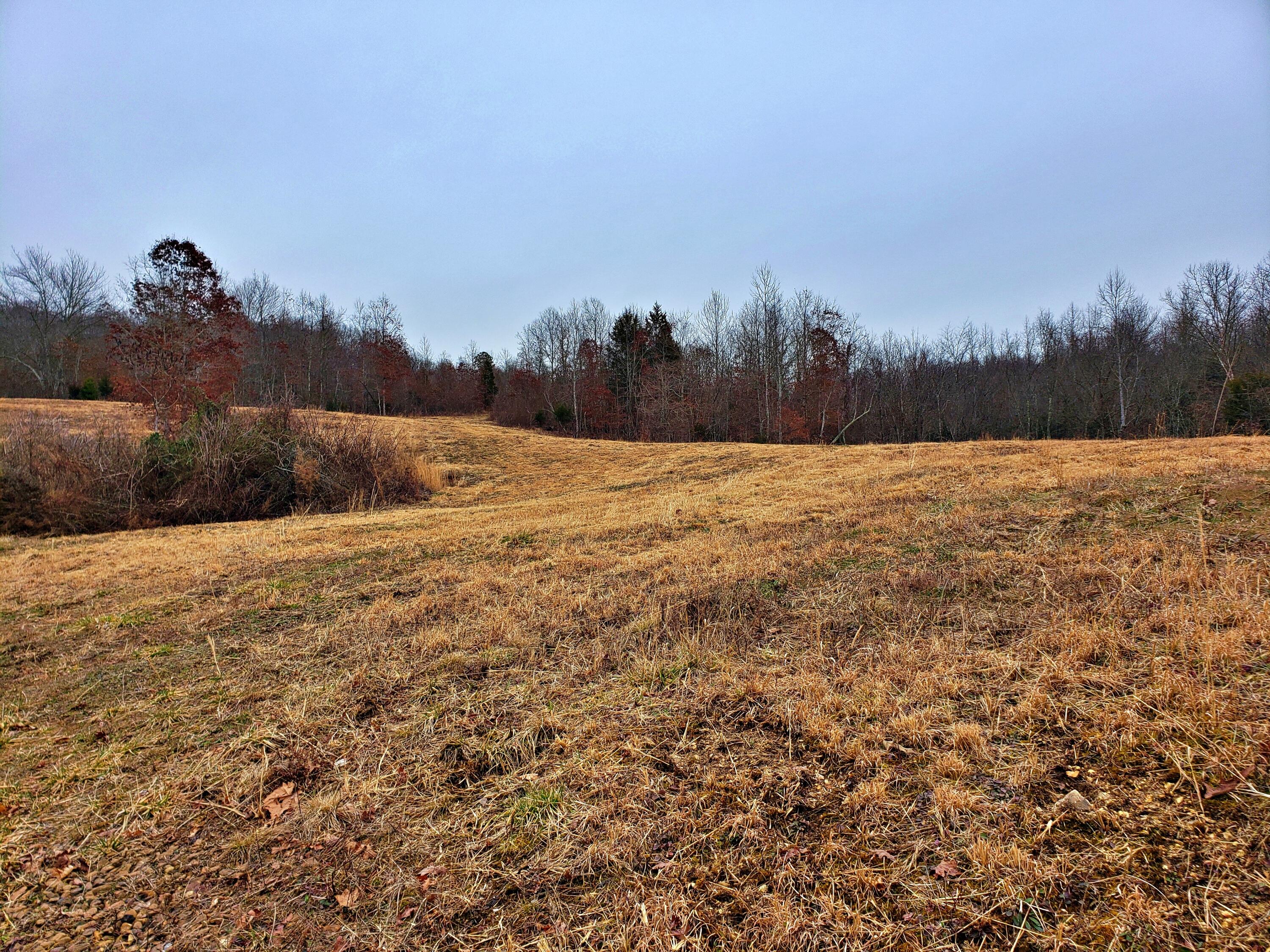 742 Rayl Hollow Road Decatur, TN 37322 - Photo 1 of 14 20210212_170950 (1)