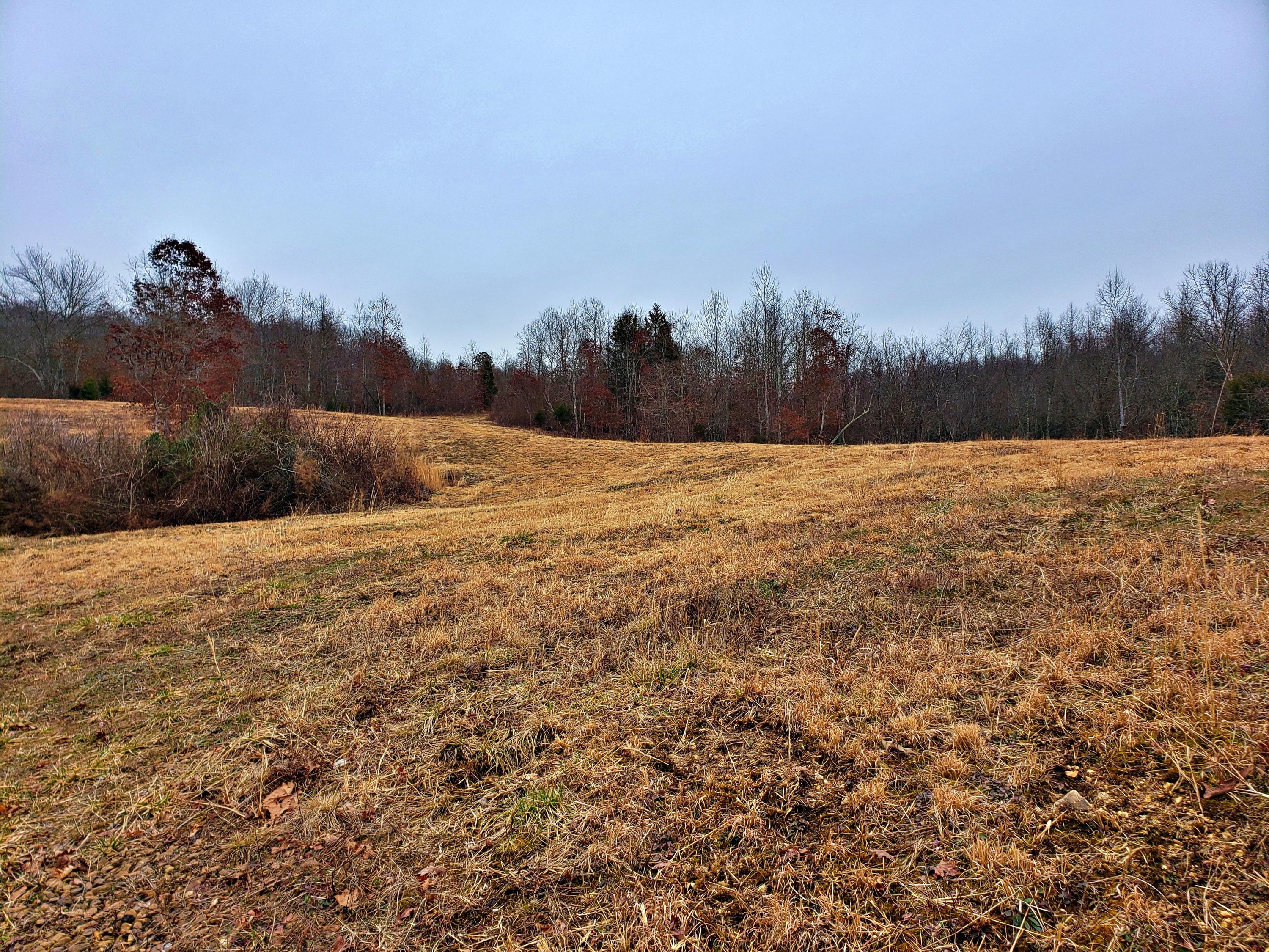 742 Rayl Hollow Road Decatur, TN 37322 - Photo 2 of 14 20210212_170950
